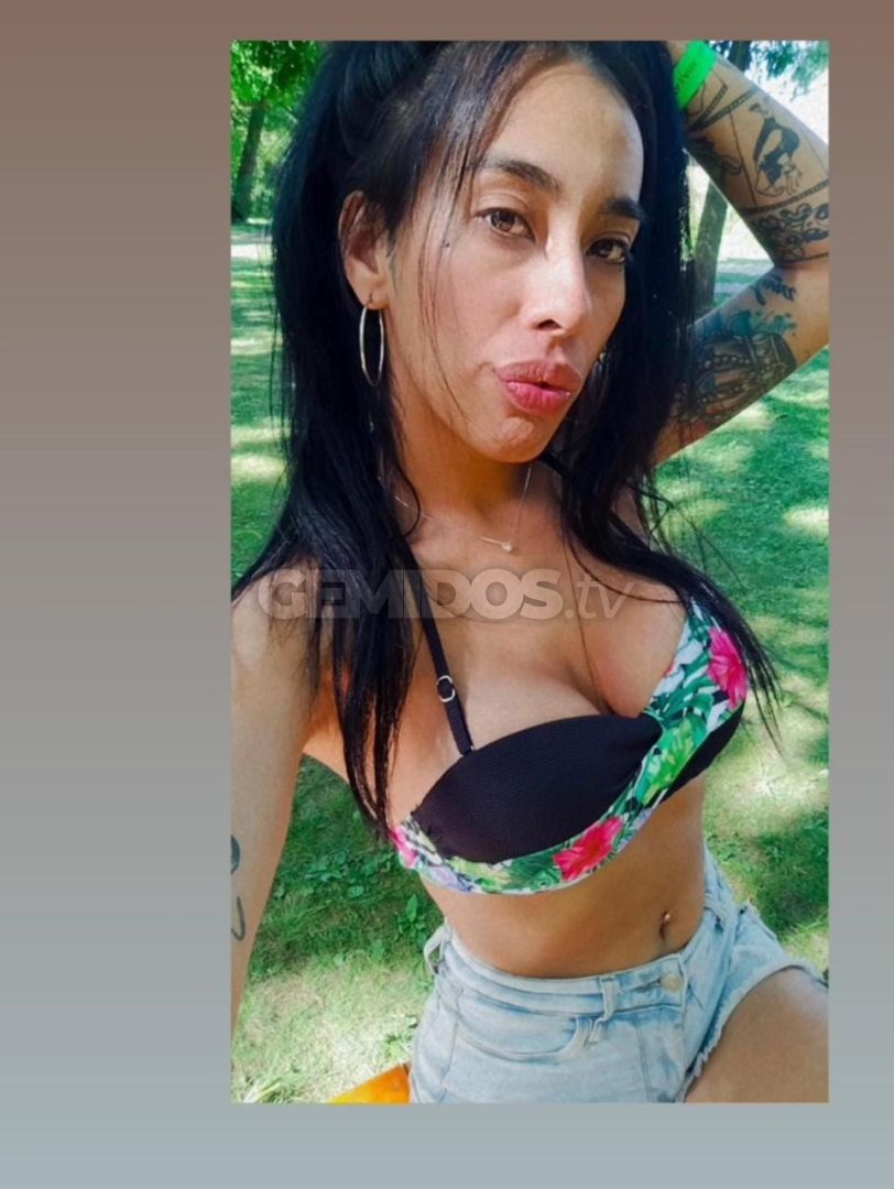 Estrella ZN 