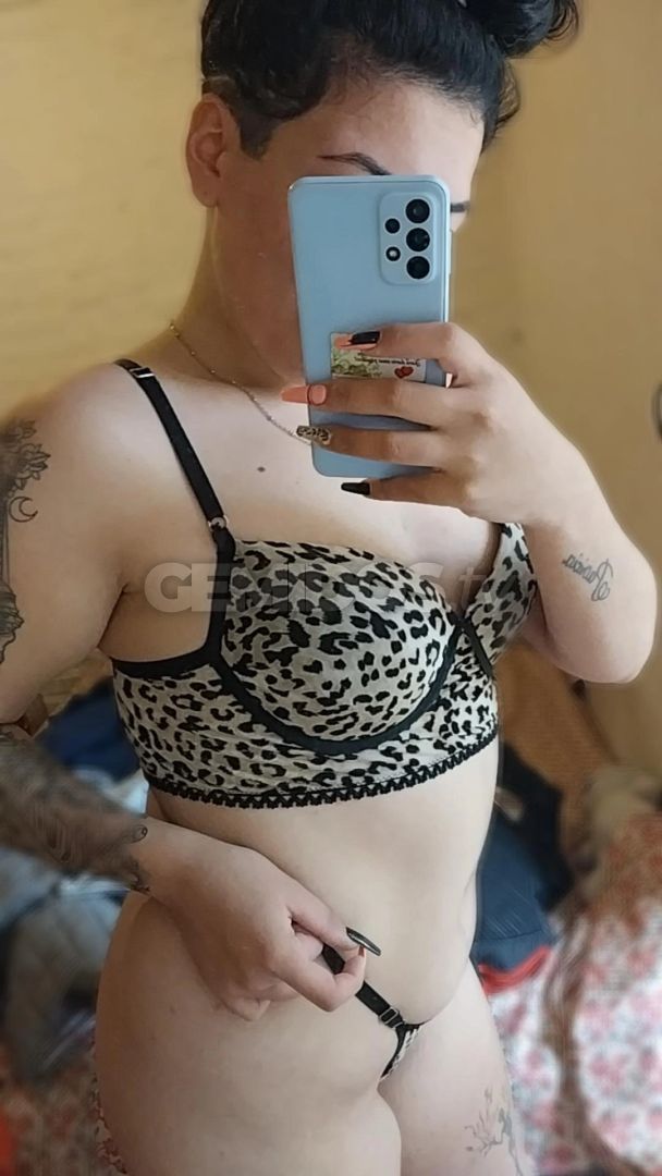 Lulu ZS 