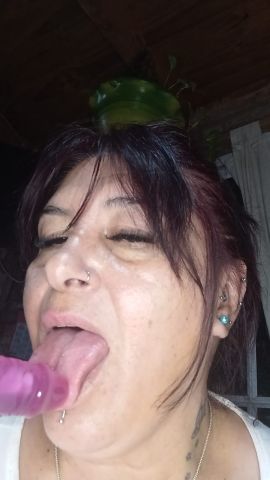 Noe ZS