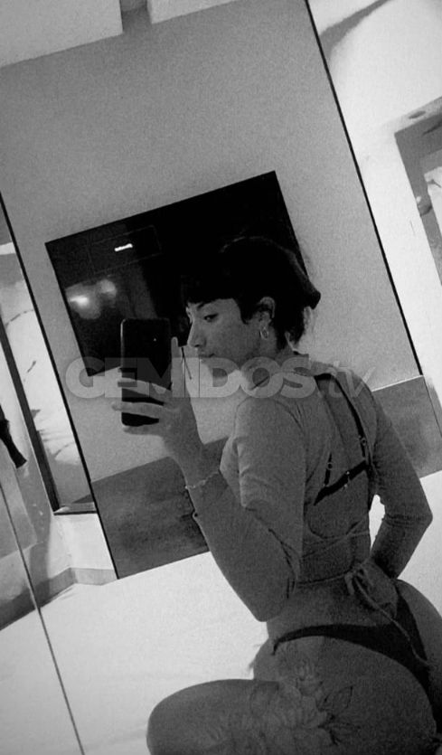 Ariana ZS